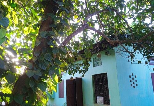 Lakhimpur Casa | Jacobs Homestay Unit 1 Low Budget