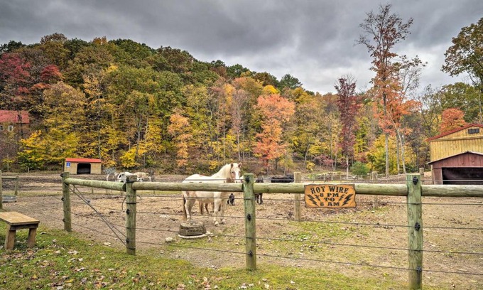 Huntingdon Apartamento | James West Apt with 50 Acres - Near Raystown Lake