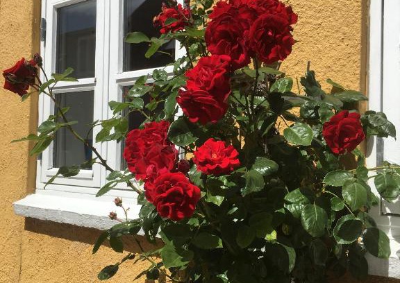 Middelfart Cama Y Desayuno | Jan og Inges Bed & Breakfast