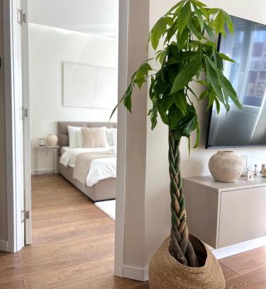 City Center Apartamento | Japandi Home