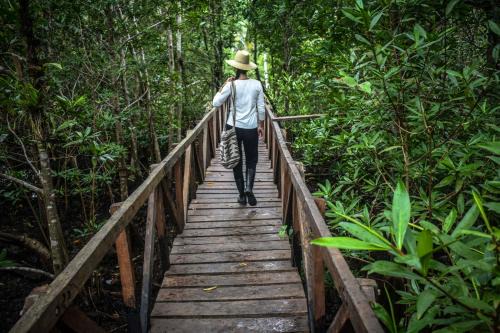 Bahia Solano Cabina | Jardín Botánico del Pacífico y Mecana Ecohotel