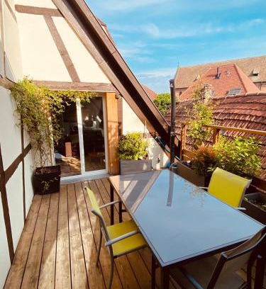 Haguenau Apartamento | Joli 2 pièces, avec climatisation et grande terrasse, vue sur les toits, zone piétonne