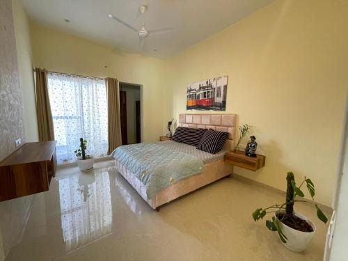 Mohali Casa | Jon Snow's Landing