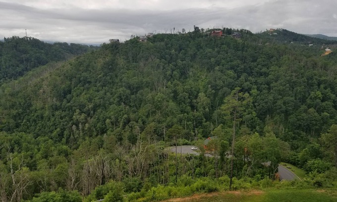 Gatlinburg Complejo | July 1 - 8th, 2023 Mountain getaway!