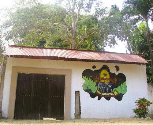 Palomino Casa | Jumanji