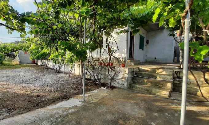 Borsh Casa | Jungle House