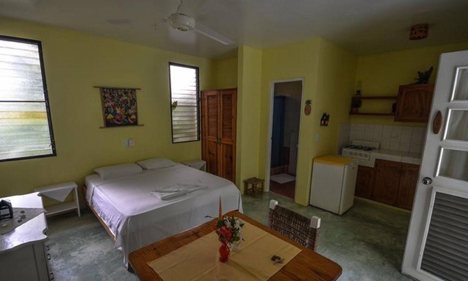 ProCab Apartamento | Jungle studio with kitchenette