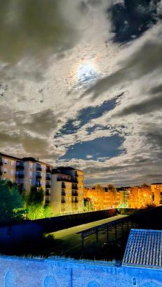 Alessandria Apartamento | Jungle Sunshine Apartment