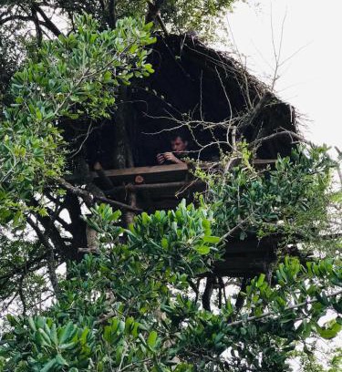 Anuradhapura Otro | Jungle Tree Hut Anuradhapura Sri Lanka