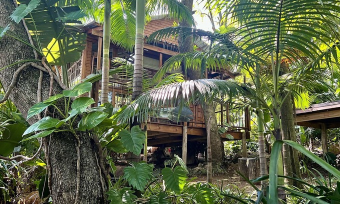 Nelspruit Cabina | Jungle Treehouse - No Loadshedding LoerieRoep Unit 5