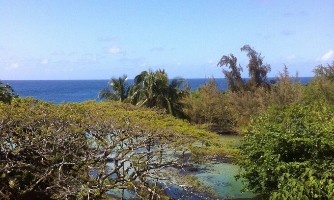 Hilo Condominio | KAILANI en Mauna Loa Shores, condominio fantástico, nadar con las tortugas marinas