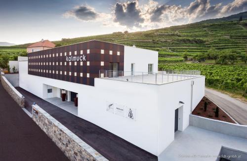 Spitz Apartamento | kalmuck LOFT