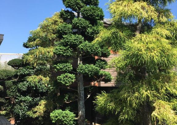 Kamagaya Casa | Kamagaya - House - Vacation STAY 9556
