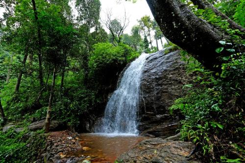 Sakleshpur Casa | Karadikallu Homestay with Private Waterfalls