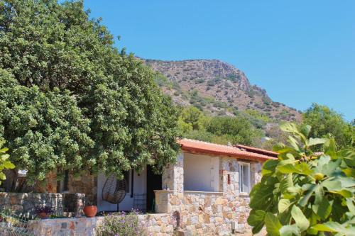 Datca Casa | Karaincirevleri Müstakil Taş Ev