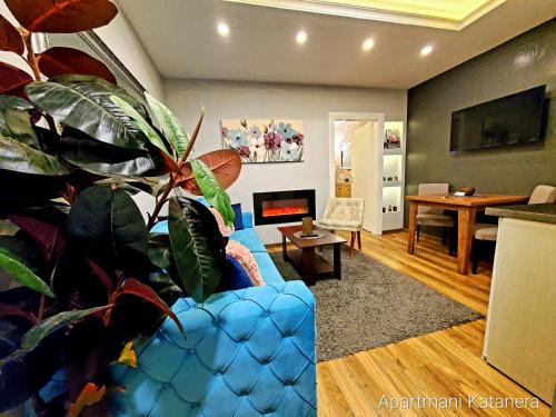 Kraljevo Apartamento | Katanera 2