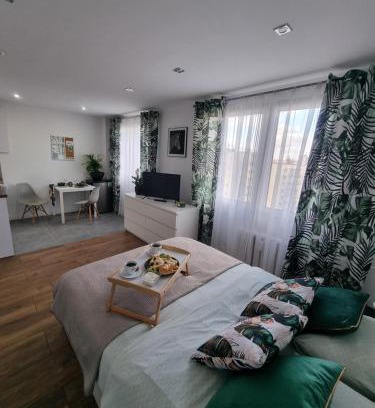 Czestochowa Apartamento | Kawalerka na Rakowie obok estakady