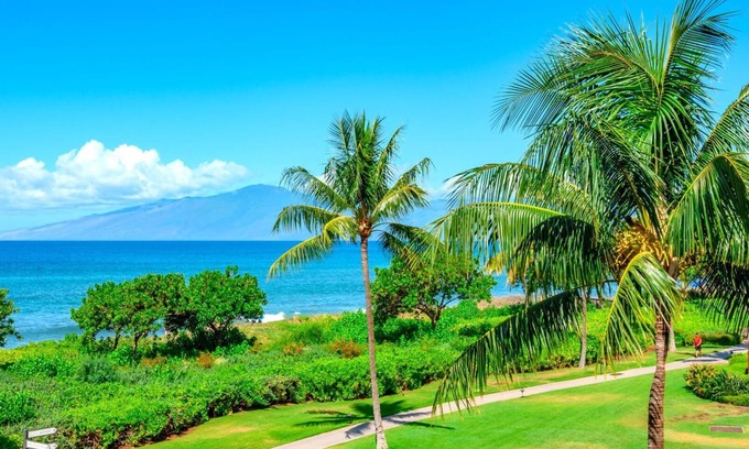 Honokowai Condominio | KBM Resorts | FREE CAR | Honua Kai Hokulani | Oceanfront | 6-Bedroom Multi Unit Listing | Private BBQ on Balcony HKH-201/36/38
