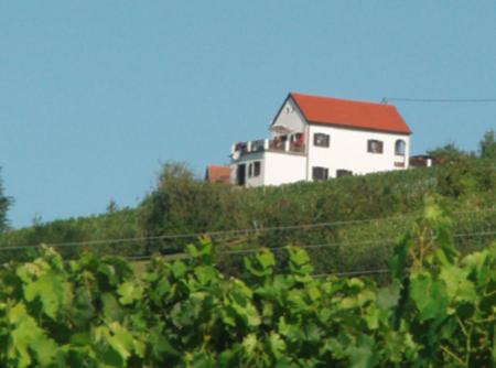 Eisenberg an der Pinka Casa | Kellerstöckl Eisenberg/Pinka Weiner
