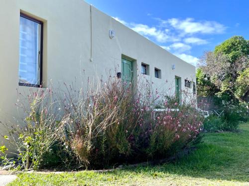 De Kelders Casa | Kelp Cottage