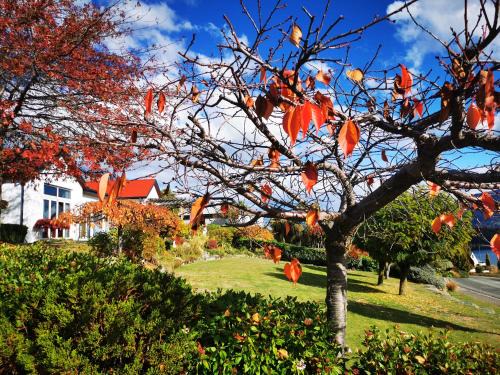 Kelvin Heights Casa | Kelvin Garden Villa