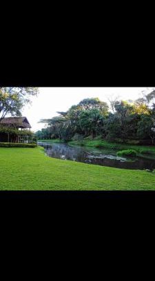 Kapsabet Otro | Kenya Kapsimotwa Gardens