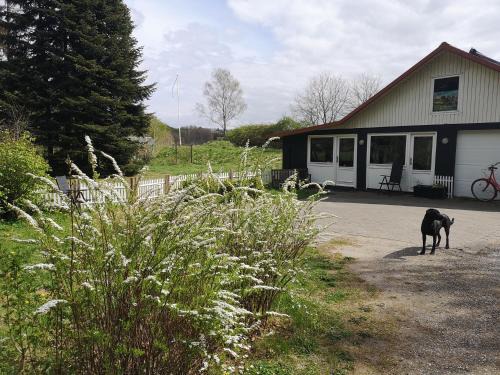Vrinners Casa | Keramikhuset 2 komma 0, smuk natur og hjemlig hygge