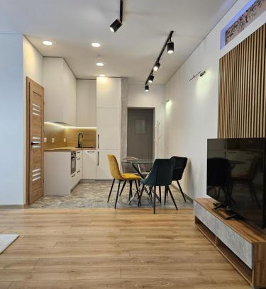 Siauliai City Center Apartamento | Kestutis Luxury Apartment