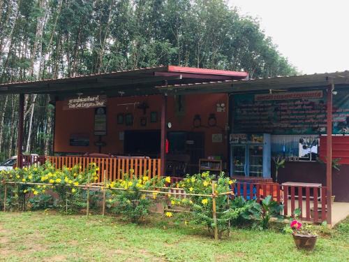 Khlong Sok Complejo | Khao Sok Evergreen House