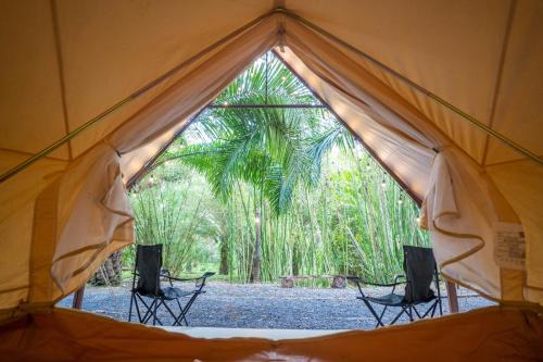 Thai Mueang Otro | khaolakcamping