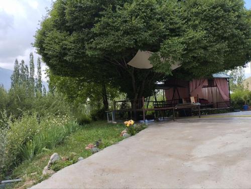 Kashkadarya Province Casa | Kimiyo