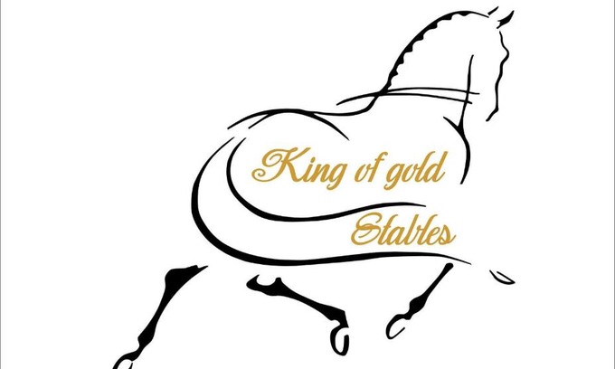 Zutendaal Apartamento | King of Gold Stables appartement met stalling voor 5 paarden