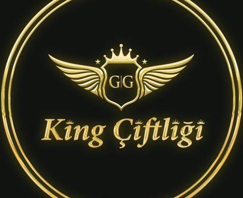 Sile Complejo | King Pansiyon