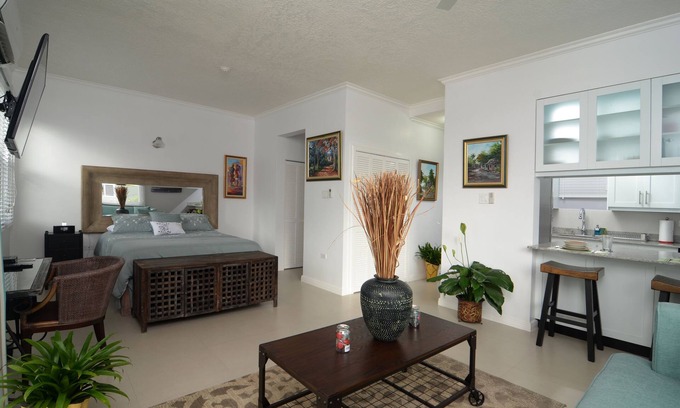 Saint Andrew Apartamento | Kingsway New Kingston Guest Apartment II