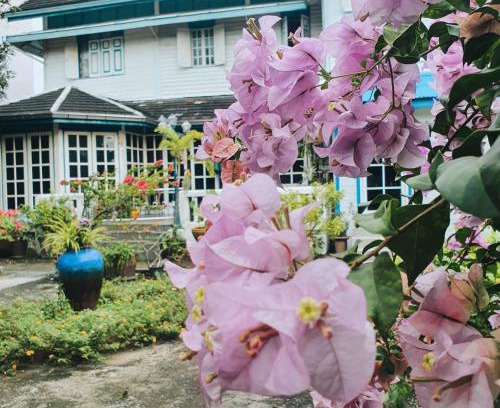 Wat Kanlaya Cama Y Desayuno | KINN Stay50 Bangkok