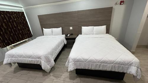 Houston Hotel | Kiwi Inn Willowbrook HWY249