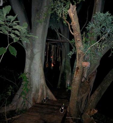 Rustenburg Casa | Klein Eden Forest