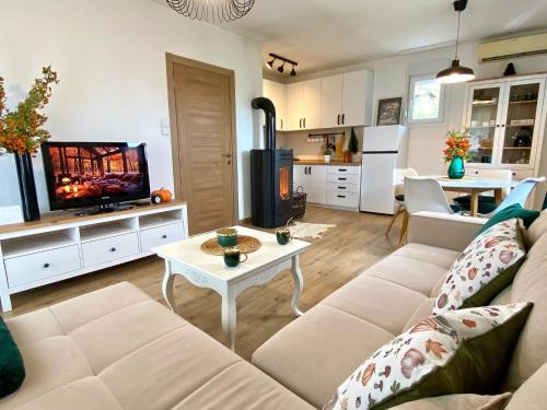 Mladenovac Casa | Košutica Vila
