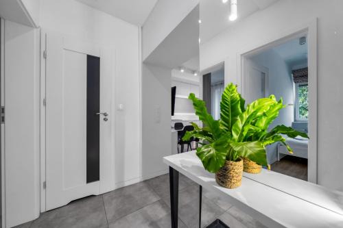 Praga Poludnie Apartamento | Kobielska 17 Warszawa by Solarento