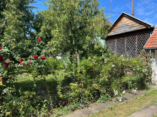 Kursumlija Apartamento | Kobran