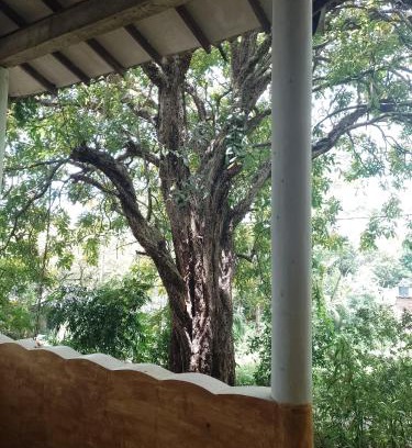 Dambulla Casa | Kon Tree Shade