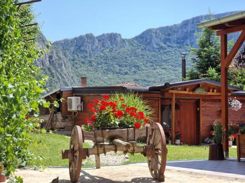 Sicevo Casa | Konak -Guest house -Ramonda Serbika