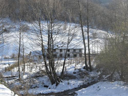 Kopaonik Casa | Kopaonik Family House "Brzeće"