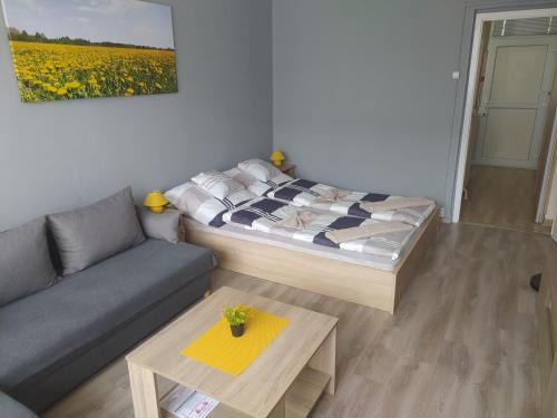 Kaposvar Apartamento | Krénusz Vendégház 3.