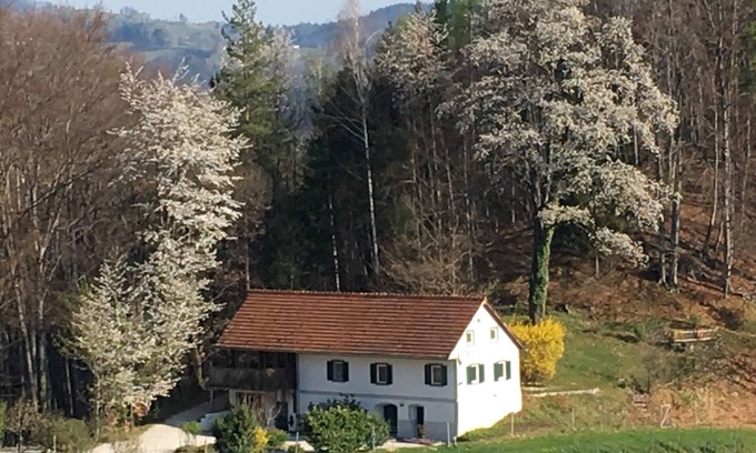 Leutschach Apartamento | Kröllwinzerei "Apartamento del enólogo"