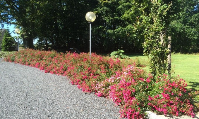 Herning Apartamento | Kratgaardens Apartment