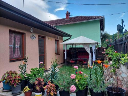 Balta Berilovac Casa | Kuća Talija