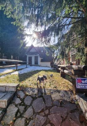 Kopaonik Apartamento | Kućerak na Kopu
