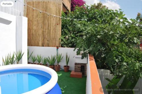 Murcia Apartamento | Ku SUPER-TERRAZA - PISCINA