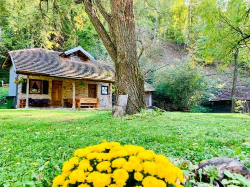 Sumadija Casa | Kuca za odmor Todorovica mlin